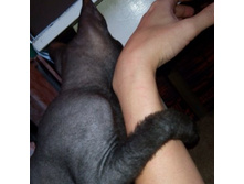 ����������� 032.jpg