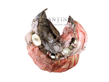 SVB-017A-4-650 �..jpg