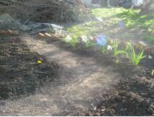 10.05.2015 P5100032.JPG