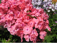 ���� ������,���� ��� ���������