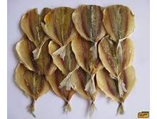 ������ ��������� ( ��������� )