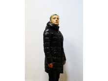 ������ ������� ������ WK-101 ������