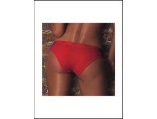 YEW3313 004 2 360.jpg