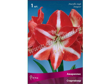 �������� ����������.jpg