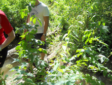 DSCN1567.JPG