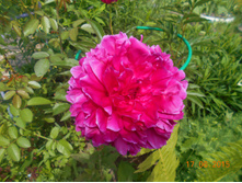 DSCN0754.JPG
