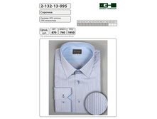 ������� ������� 2-132-13-095 ���� 870 �.