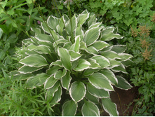 ����� �������������� 130