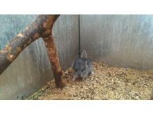 ������� 1