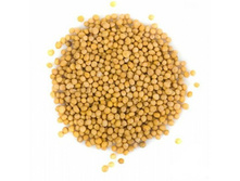 ������� ������, 10 �� ������