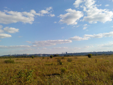 IMG 20150822 165552.jpg