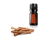 ������ Cinnamon Bark Essential Oil