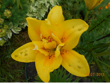 DSCN1025.JPG