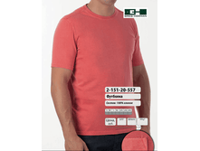 ������� �������� 2-151-20-557 ���� 700 �.