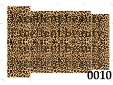 010.jpg