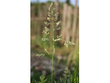 ����������� 305.jpg