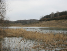 ����������� 418.jpg