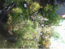 ����� 2015�.