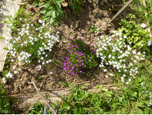 P1040189.JPG �������