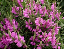 ���������� ����������. 90