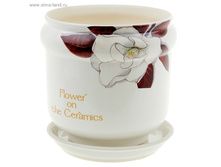 ���� 2,2� ��� MAGNOLIA.jpg