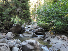 DSCN2303.JPG