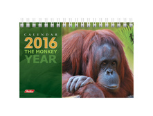 ���������-����� ��������- ��� ��������, �����., �� ������, 2016 �. 30,5.jpg