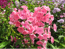 �������?