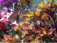 DSCN4081.JPG