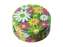 ���� Steamcream Fiona.jpg