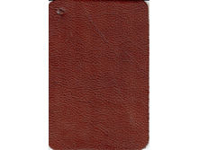 NOCCIOLA NEVOLLA.jpg