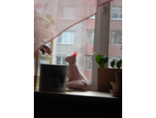 DSCN1486.JPG