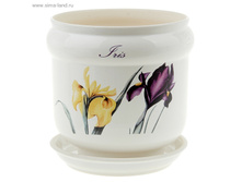 ���� 2,2� ��� IRIS.jpg