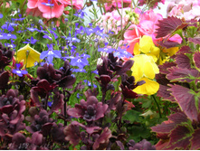 DSCN4273.JPG