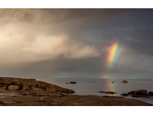 ��� ��������� ������