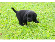 ������� №1