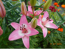 DSCN1067.JPG