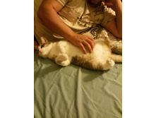 IMG 20150823 200821.jpg