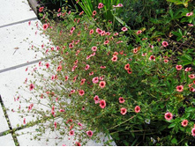 �������� ���������� ���� �������� 120