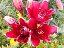 DSCN1033.JPG