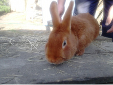 IMG 20150424 120946 33.jpg