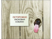 ������ ���.jpg