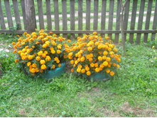 16.08.2015 P8160193.JPG