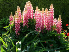 ����� �������.180, �������� ������� ����