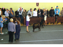 ���� (������ ������������� ������)