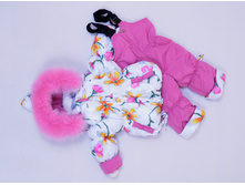 2650�. ��������(������+�/����������) "��������"(����������� ������) ����-�������