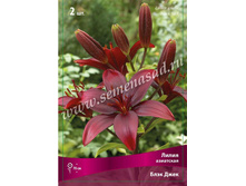 ����� ���� ����.jpg