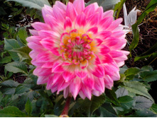 №22 �����.jpg