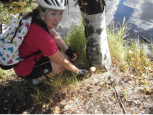 ����� �����.