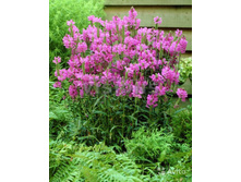 ���������� ����������.90